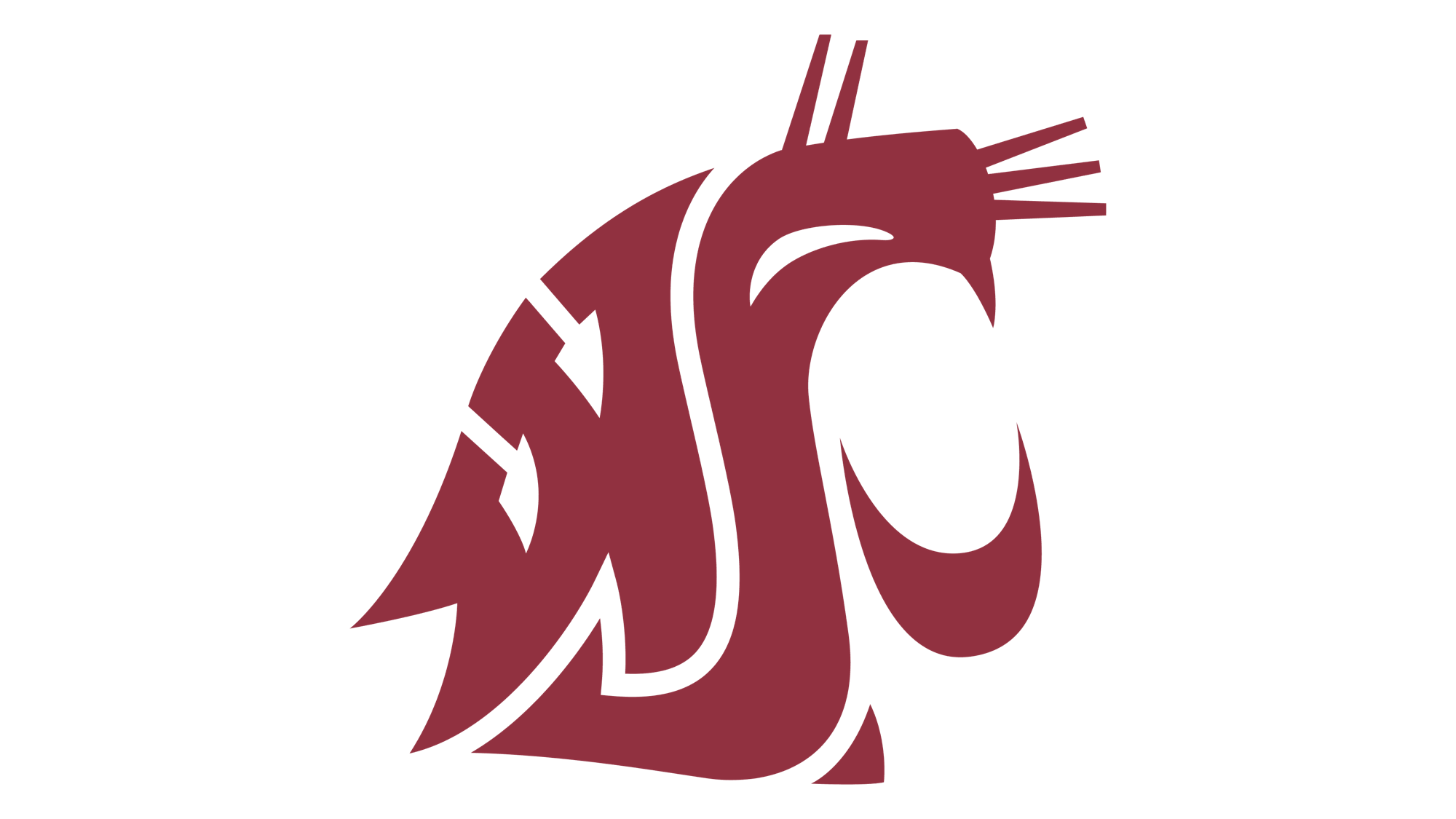 WSU Cougars